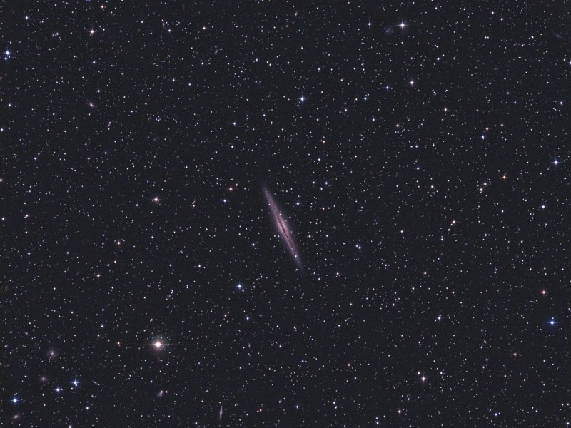 NGC891 40er