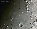 mond031 mond031