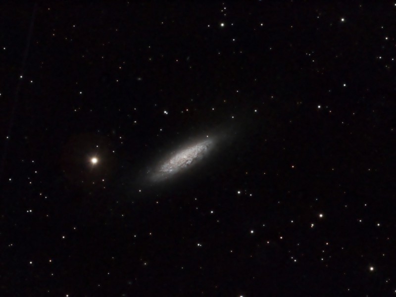 ngc6503 c14 fok ts2600cp gain25  10c 23x4min whs 20250402 dbe wcs spcc mltchrlig bxt ht