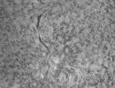 115filmonoimppgpi