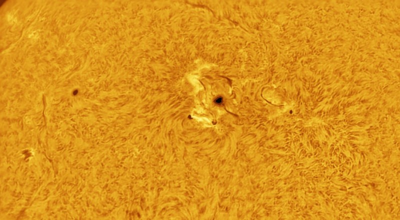 ar4143am01192026 13 58 l2 ap825 clone