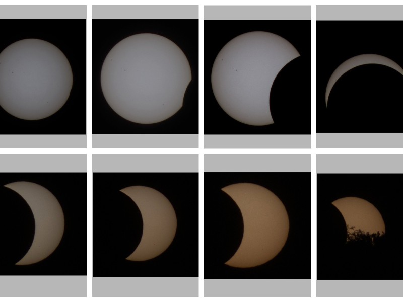 collagesofiwlam08122026