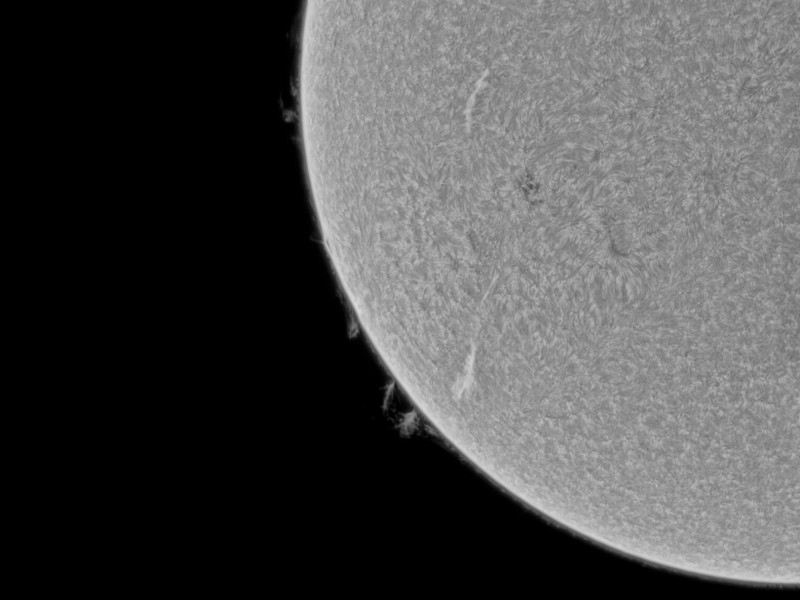 fdcrop10 16 l4 ap1136