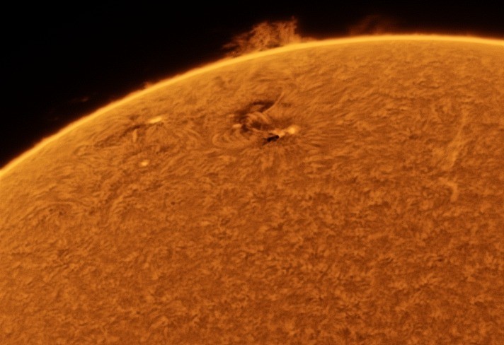 fdcrop10 55 l4 ap288