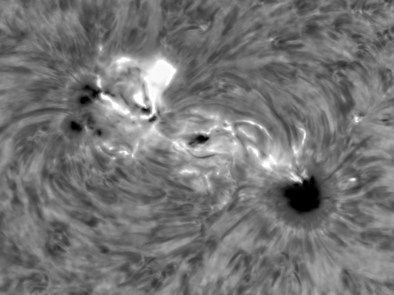 flare43661230utcam020420266