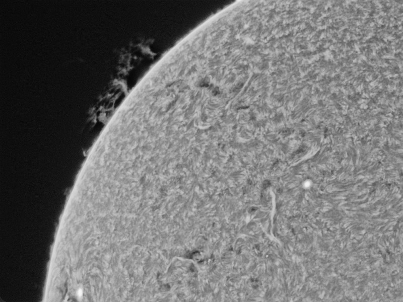 prot 14 00 l4 ap638 l